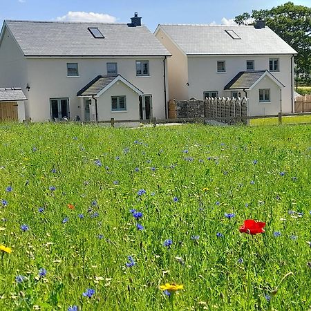 Brecon Beacons Cottage With Stunning Country Views Myddfai المظهر الخارجي الصورة