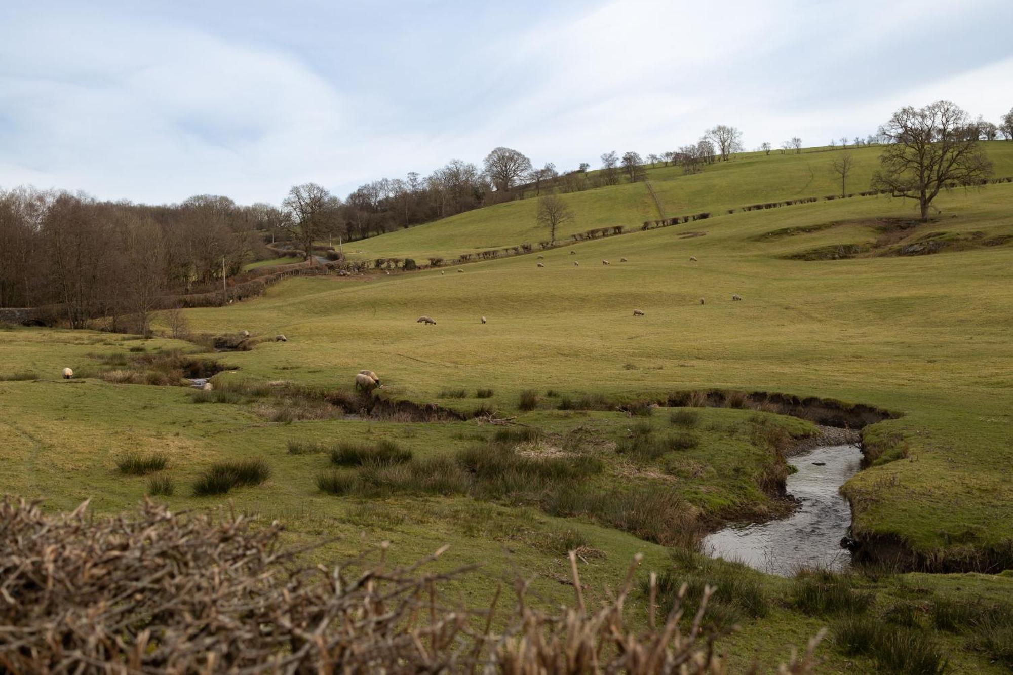 Brecon Beacons Cottage With Stunning Country Views Myddfai المظهر الخارجي الصورة