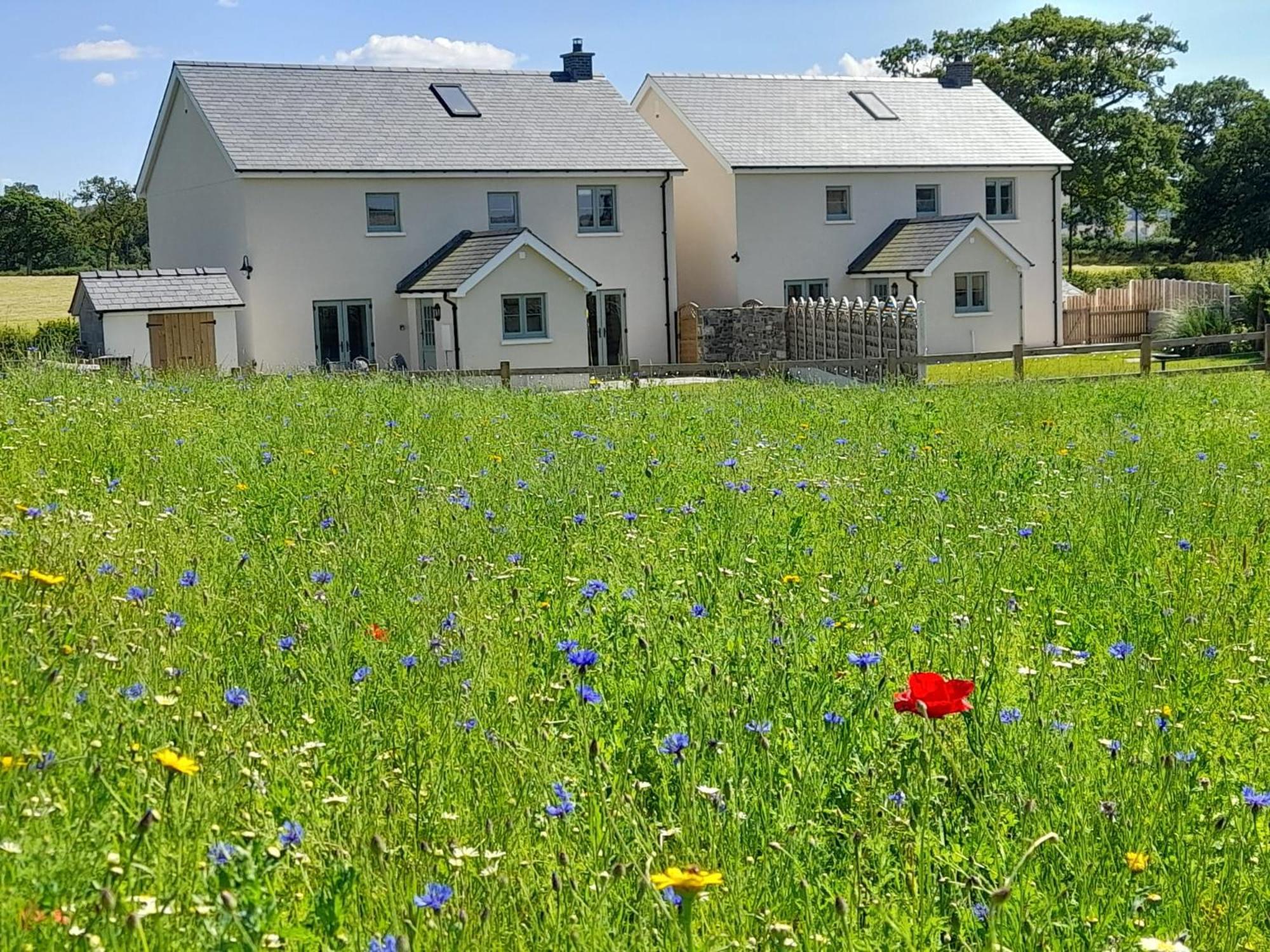 Brecon Beacons Cottage With Stunning Country Views Myddfai المظهر الخارجي الصورة